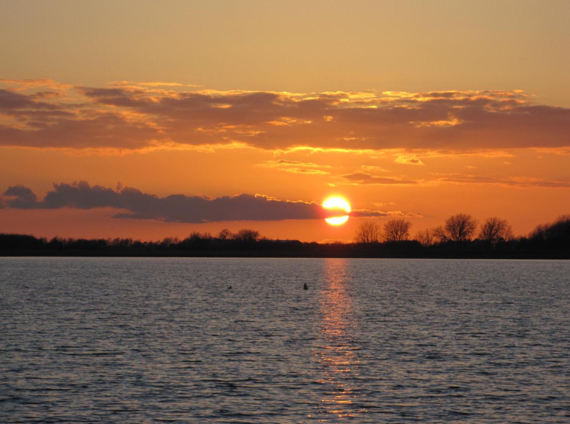 Fewo Im Kastania Nr19 Petersdorf auf Fehmarn Экстерьер фото