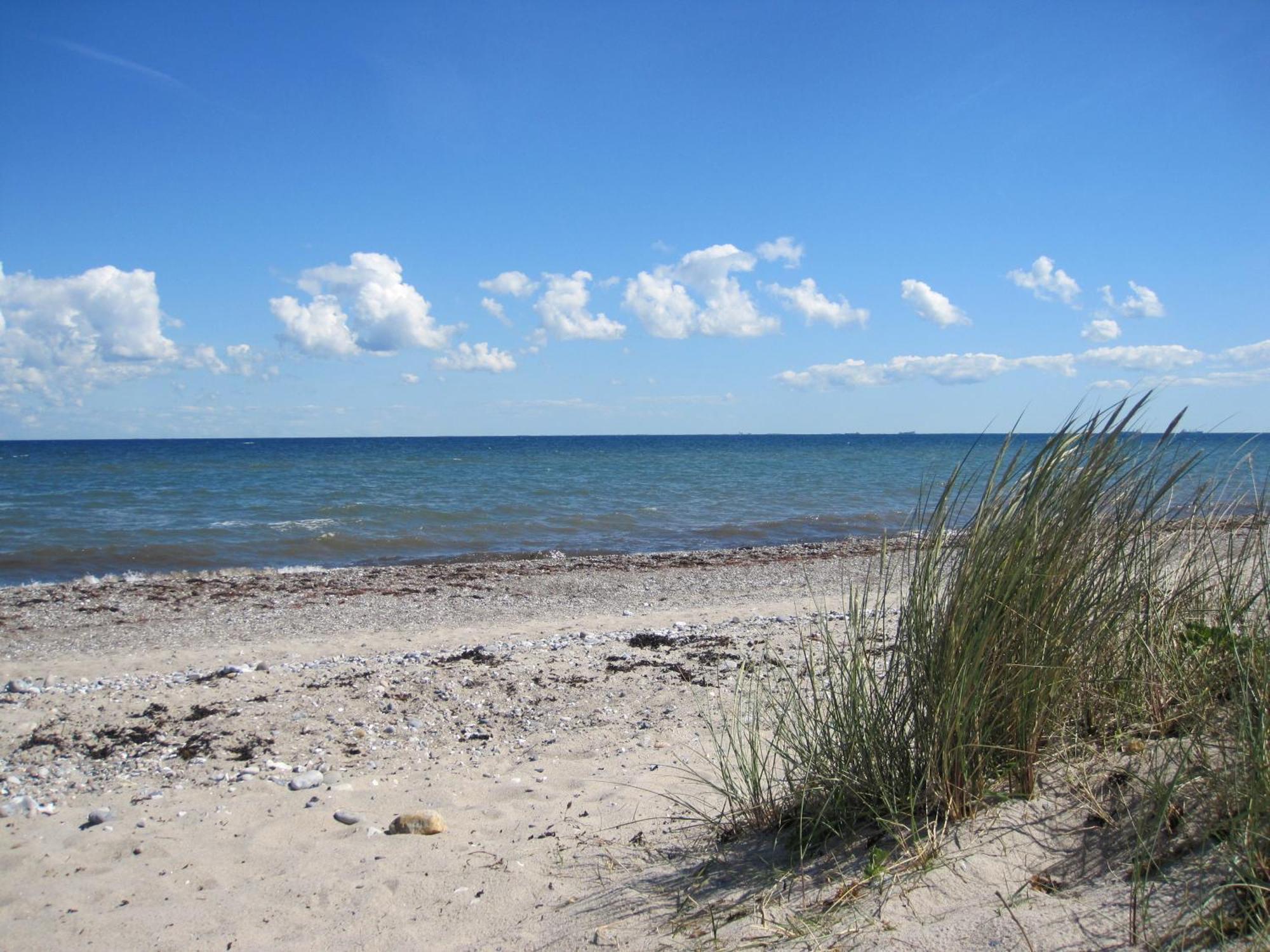 Fewo Im Kastania Nr19 Petersdorf auf Fehmarn Экстерьер фото